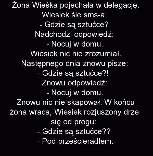 Żona w delegacji