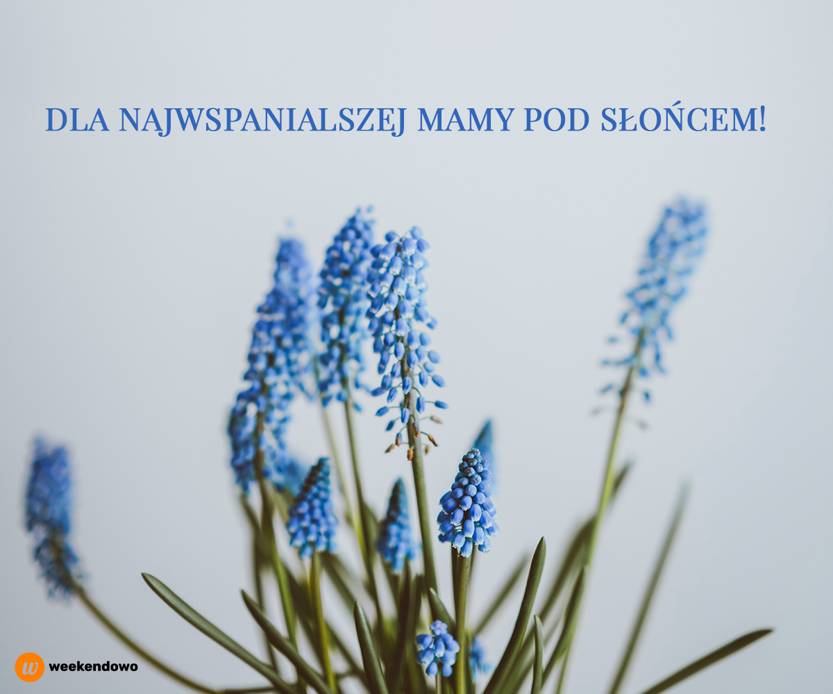 Dla najwspanialszej mamy kartka
