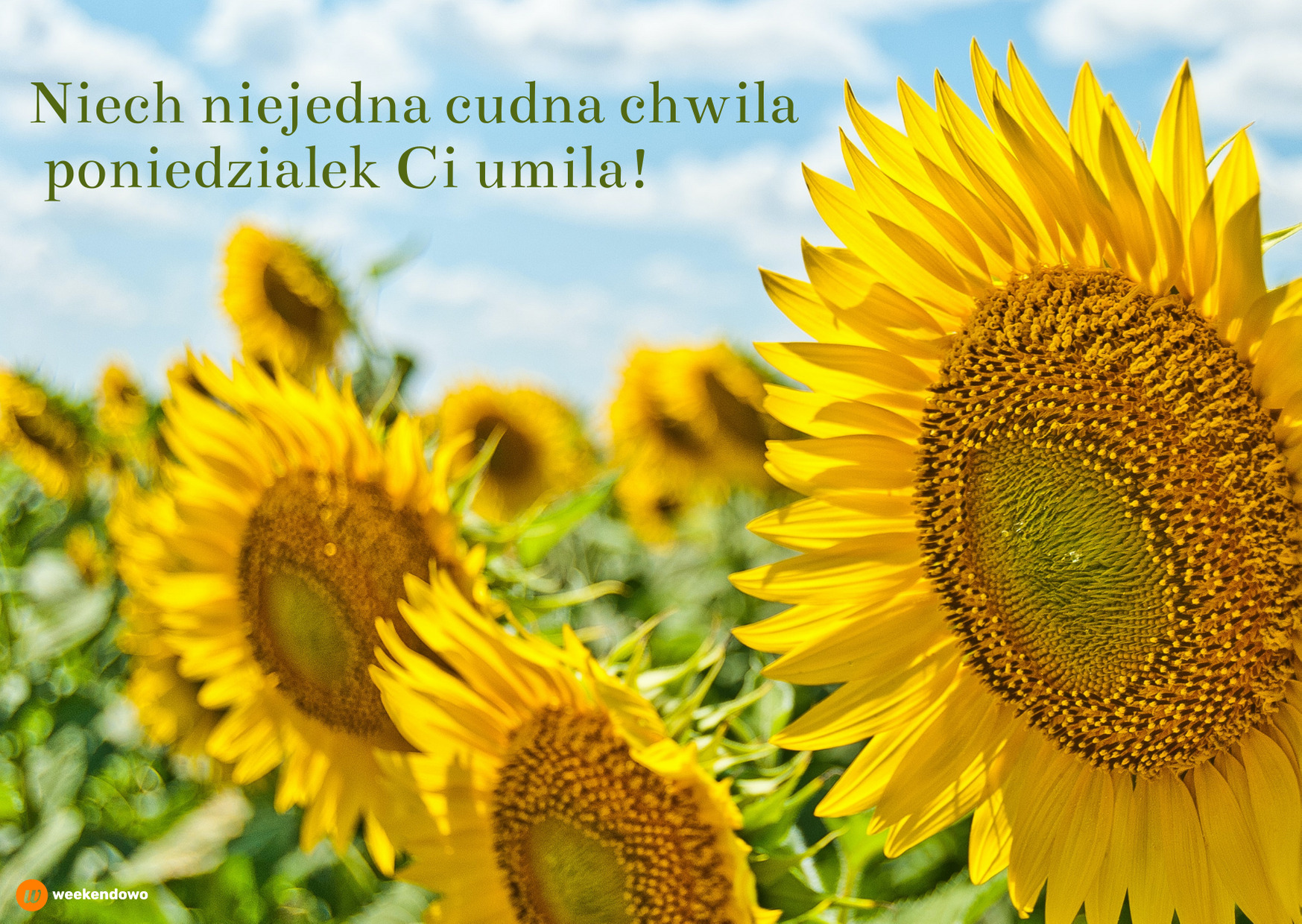 Kartka na początek tygodnia