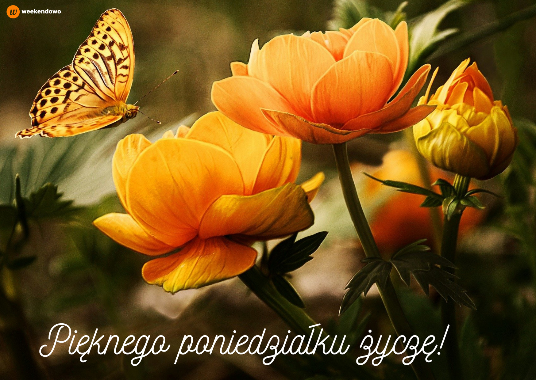 Pięknego poniedziałku kartka