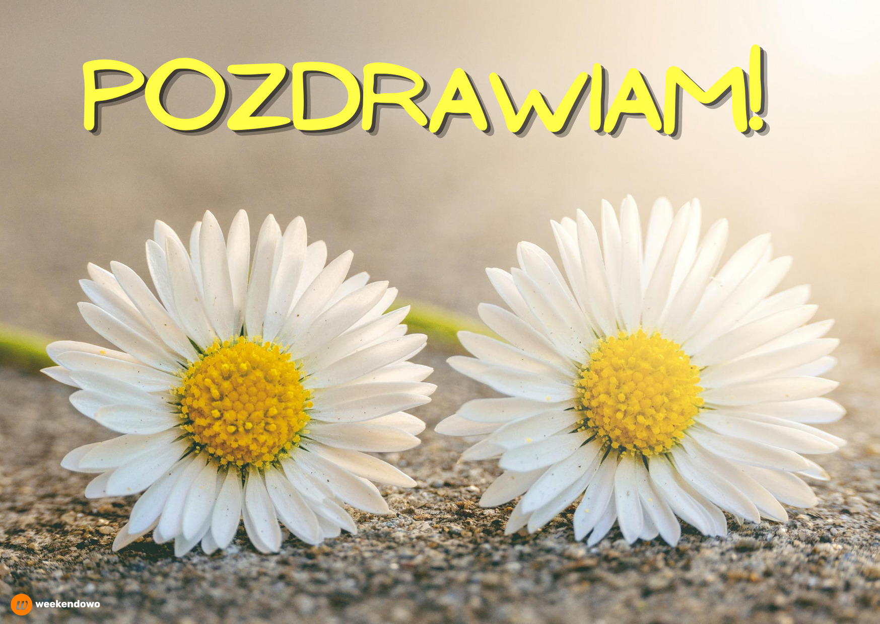 Pozdrawiam kartka
