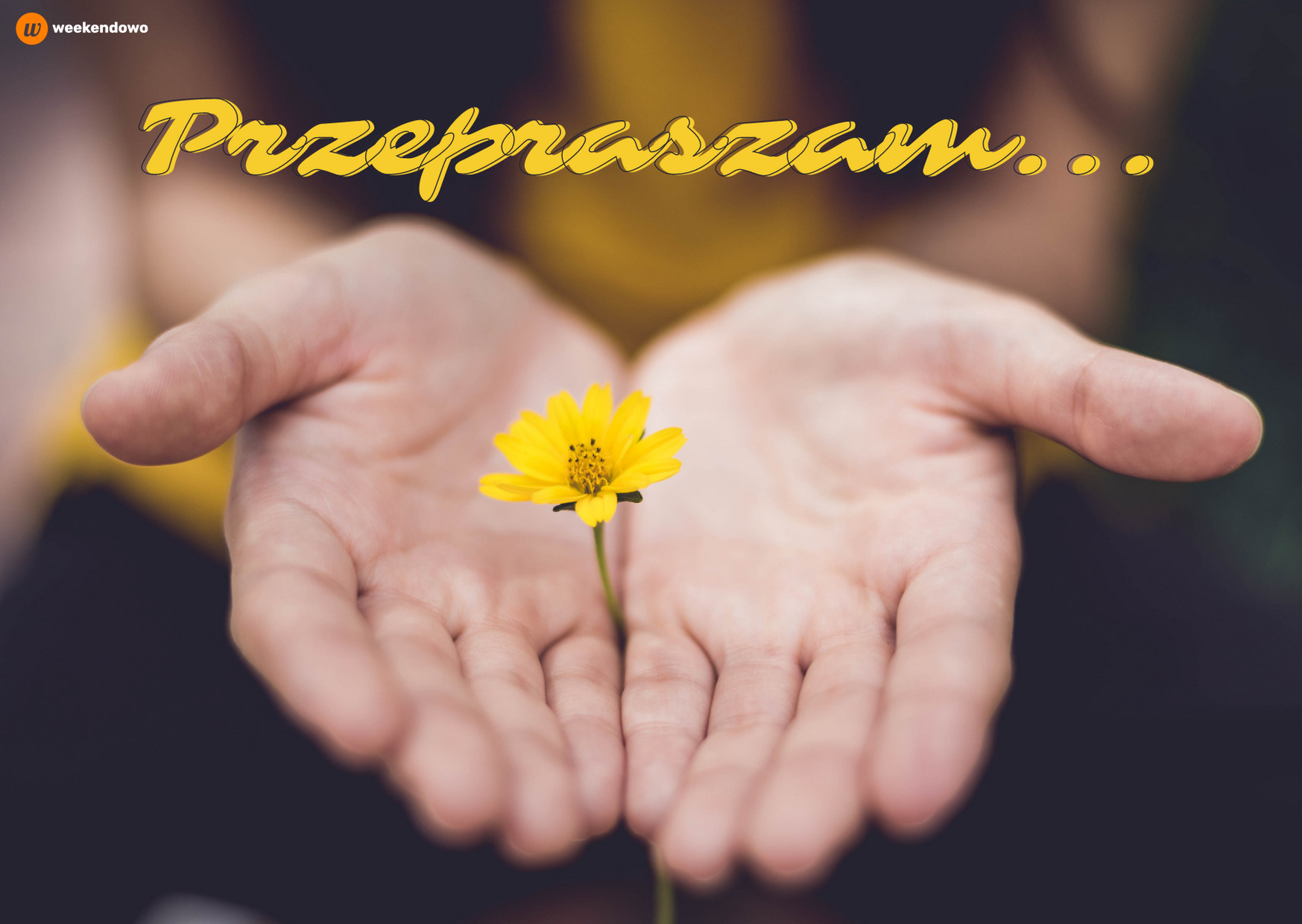 Przepraszam kartka
