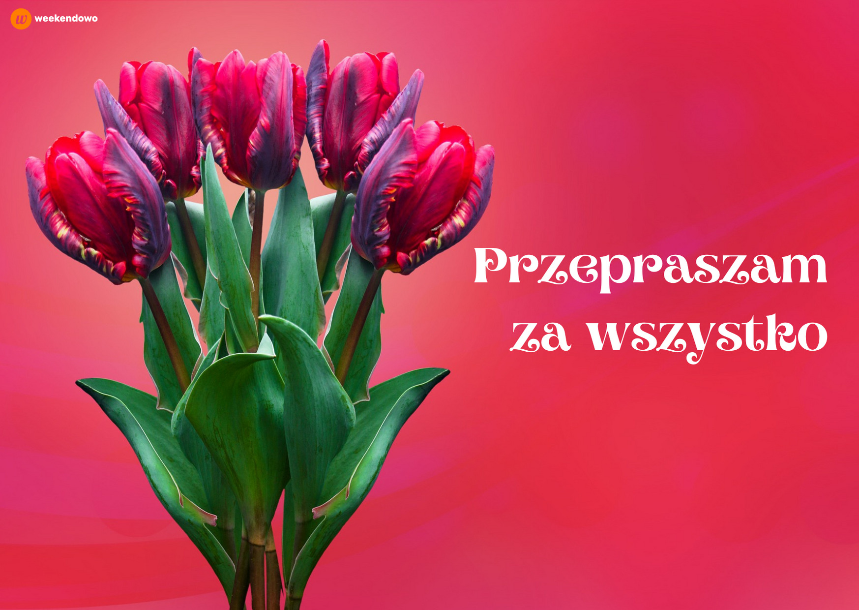 Przepraszam za wszystko kartka