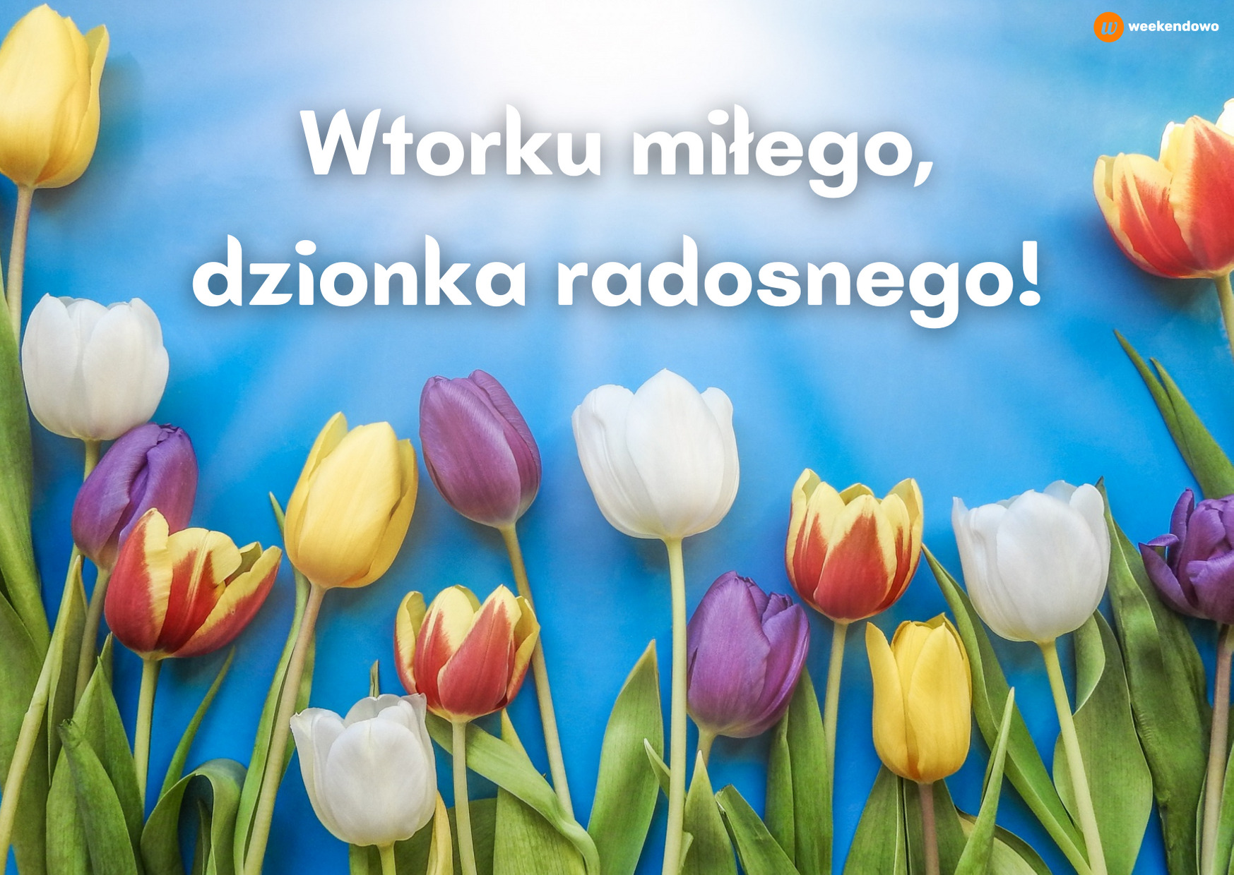 Radosnego wtorku kartka