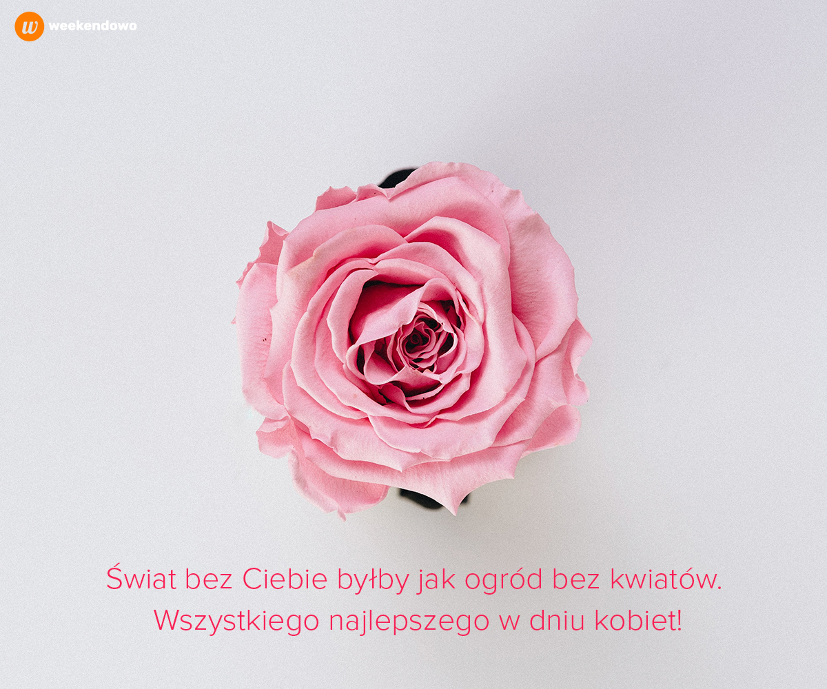 Róża na Dzień Kobiet kartka