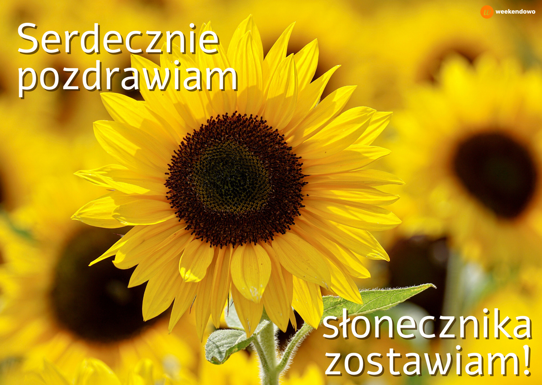 Serdecznie pozdrawiam kartka