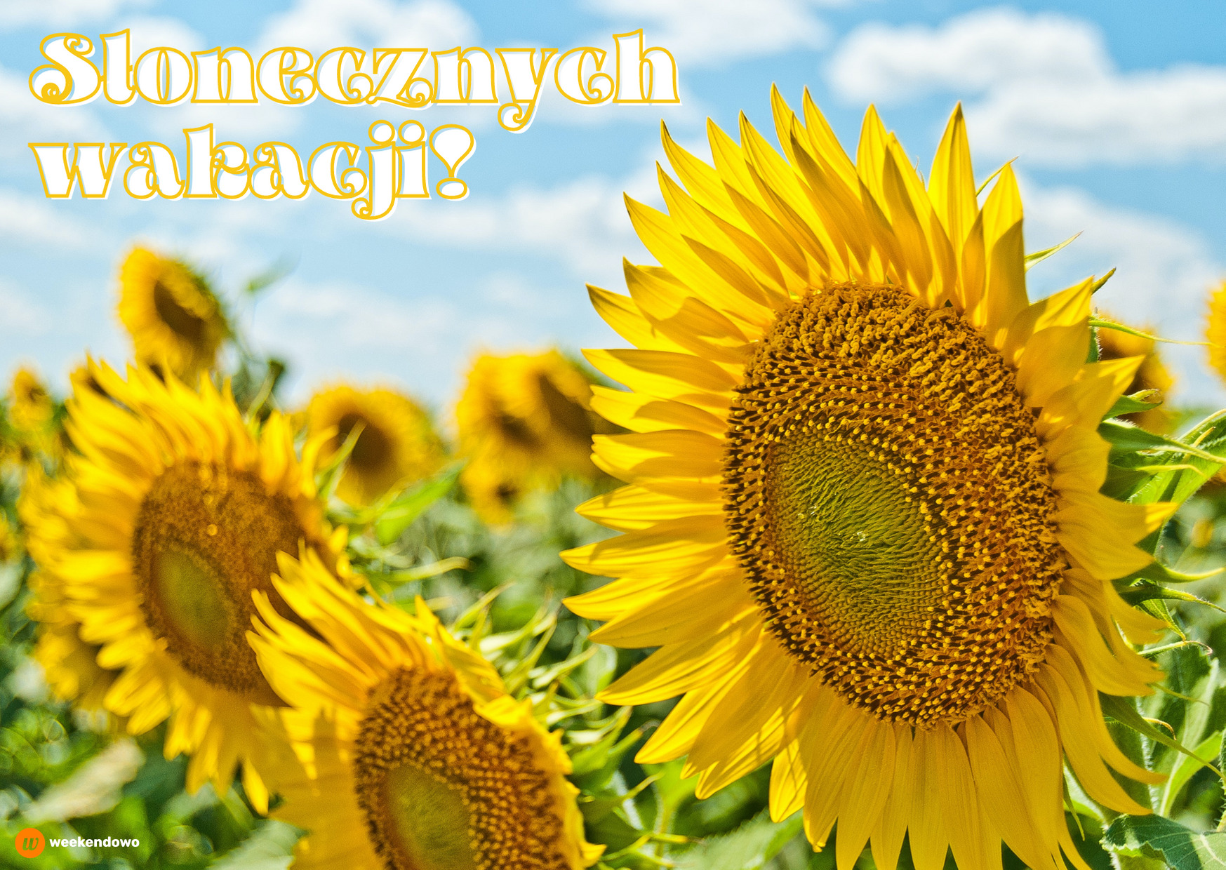Słonecznych wakacji kartka