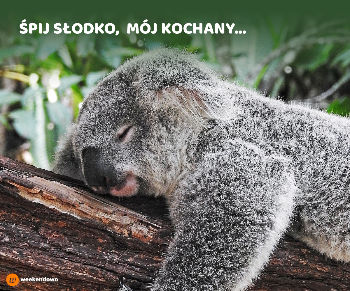 Śpij słodko, mój kochany kartka