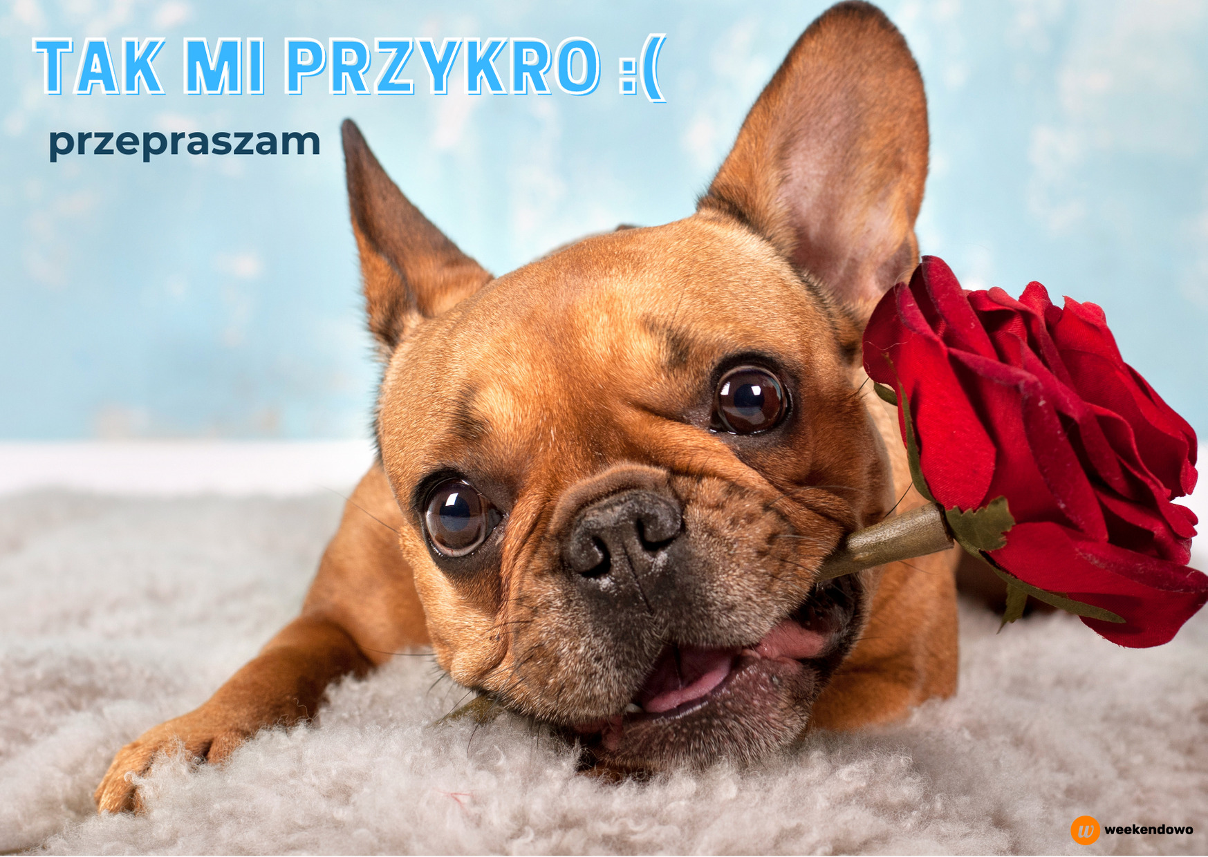 Tak mi przykro kartka