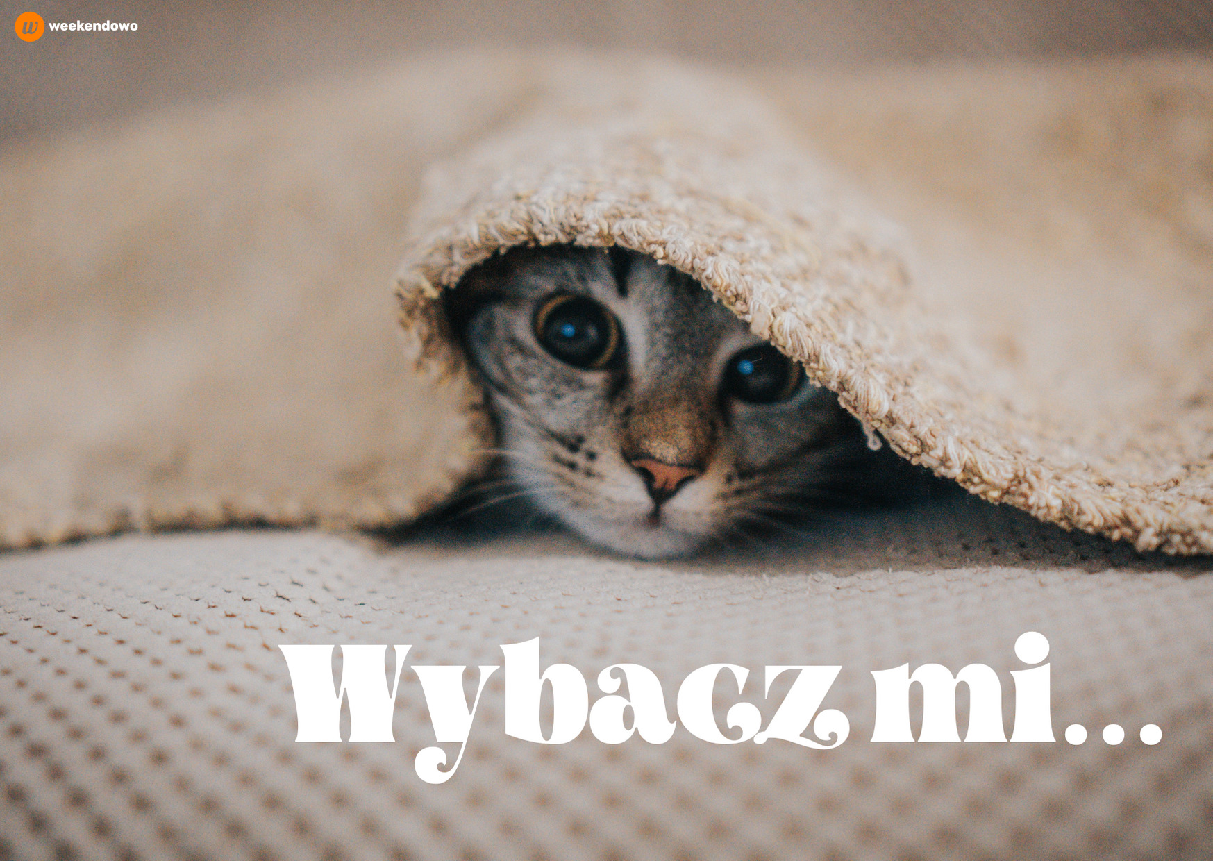 Wybacz mi kartka