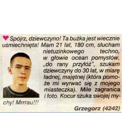 Kocur szuka swojej mychy