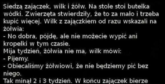 Siedzi zajączek, wilk i żółw...