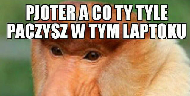 Cały dzień przed komputerem
