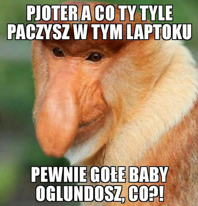 Cały dzień przed komputerem