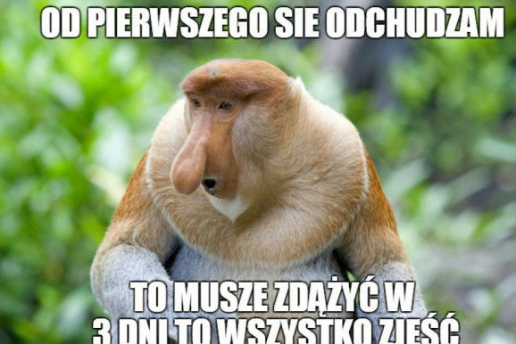 Postanowienie noworoczne
