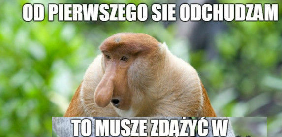 Postanowienie noworoczne