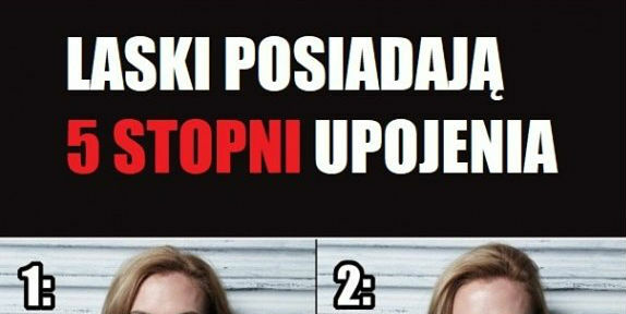 5 stopni upojenia