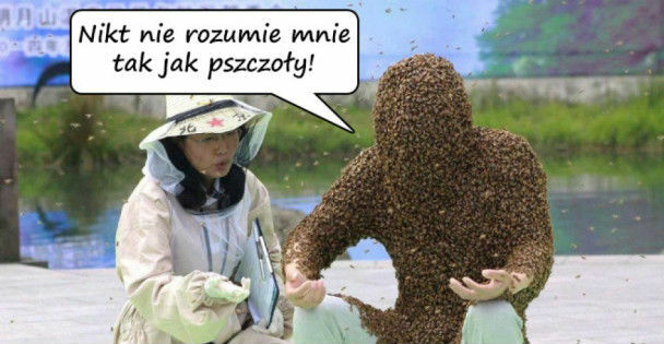 Pszczeli przyjaciele