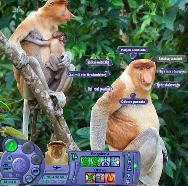 The Sims: Witaj w Polsce