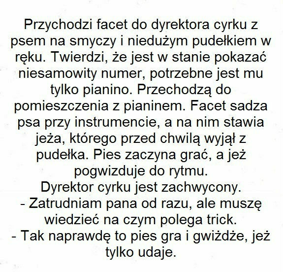Numer z grającymi zwierzakami 