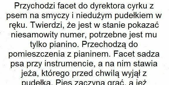 Numer z grającymi zwierzakami 