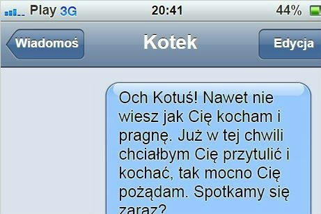 Idealna odpowiedź