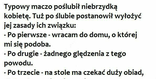 Maczo w akcji