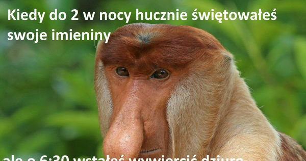 Najlepszy sąsiad
