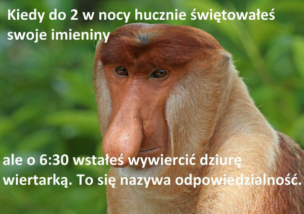 Najlepszy sąsiad