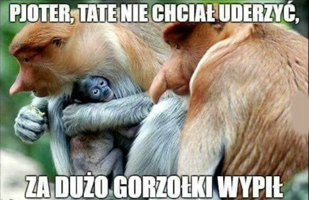 Tate nie chciał...