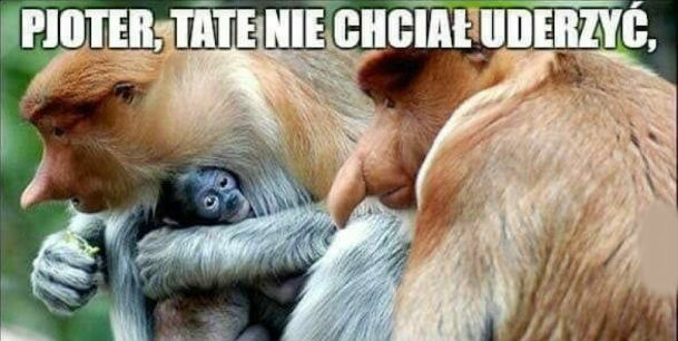 Tate nie chciał...