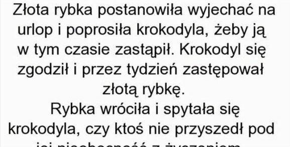 Złota rybka