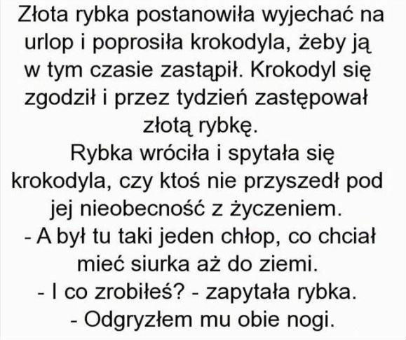 Złota rybka