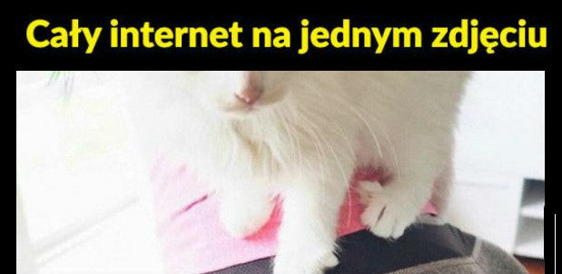 Internet w pigułce 