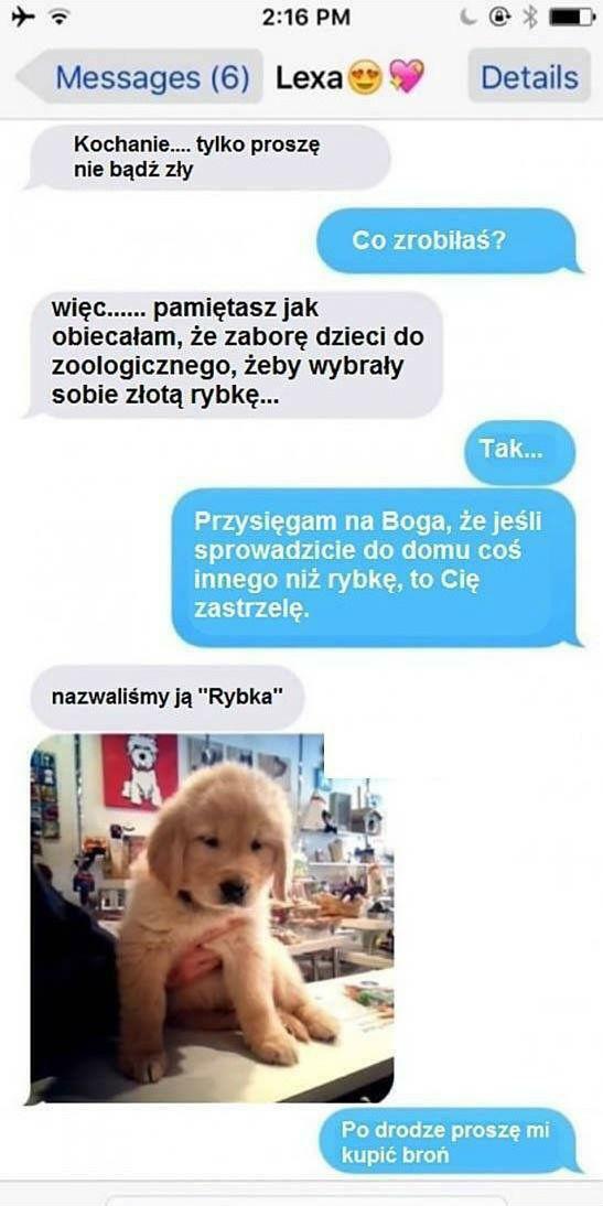 Wyprawa po rybkę