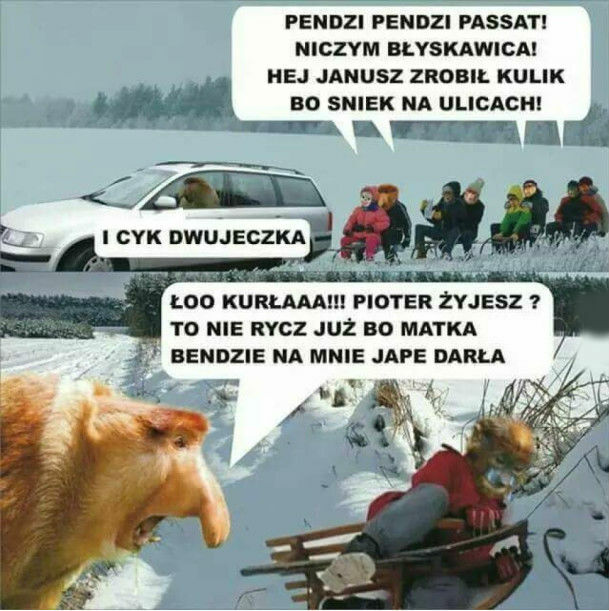 Kulig