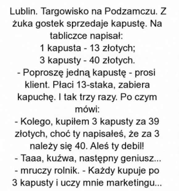 Mistrz marketingu 