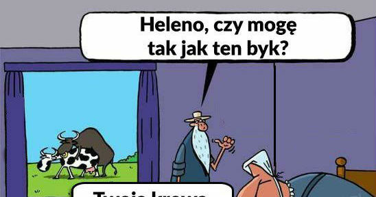 Najlepsza riposta