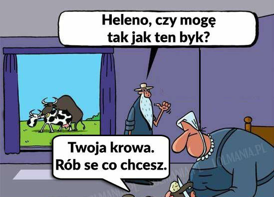 Najlepsza riposta