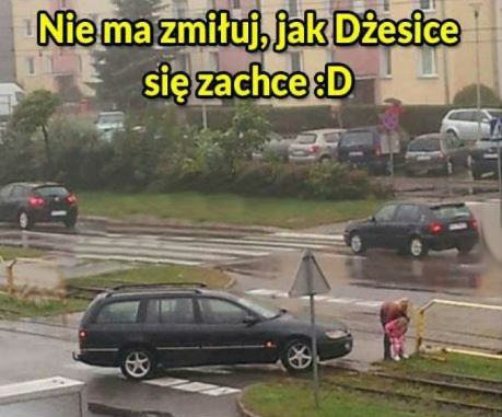 Nie ma że boli