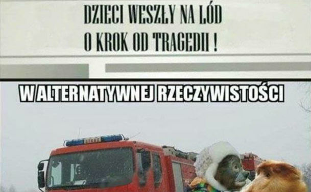 Alternatywna rzeczywistość