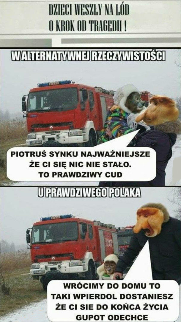 Alternatywna rzeczywistość