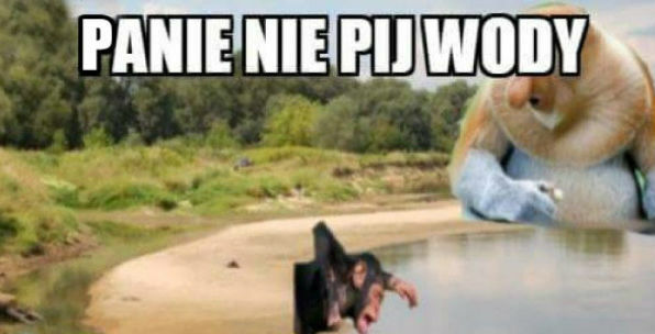 Pij, Niemcu...