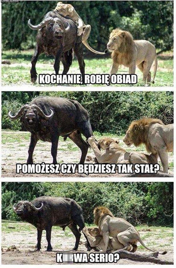 Z życia wzięte