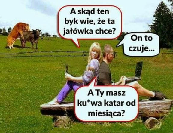 Ochota na małe co nieco