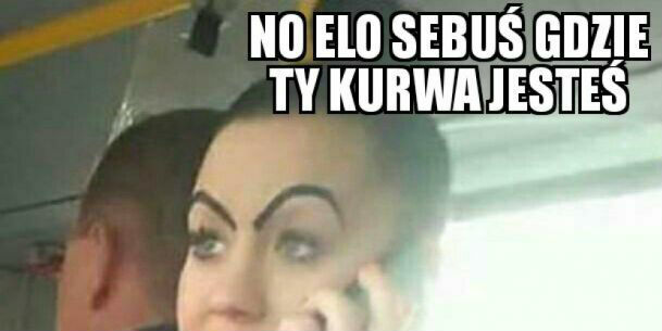 Pato-miłość