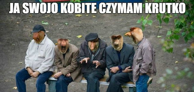 Polski samiec alfa