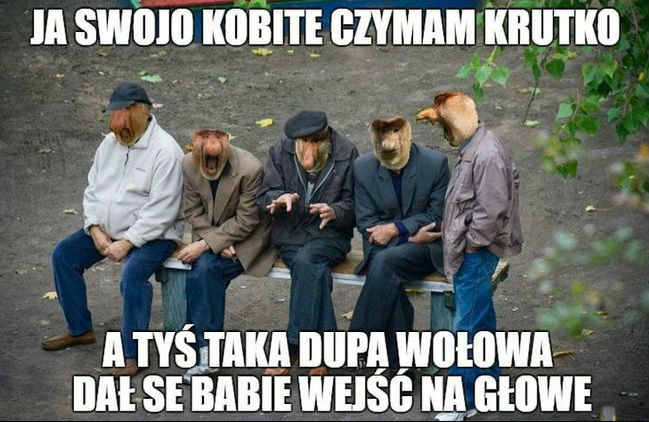Polski samiec alfa