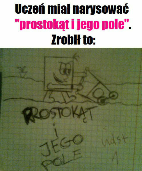 Prostokąt i jego pole