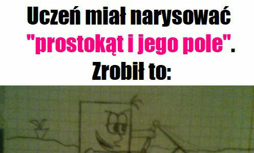 Prostokąt i jego pole